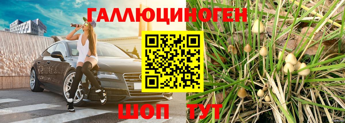 Псилоцибиновые грибы мицелий Строитель