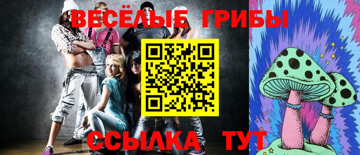наркота  Вход с VPN  Галлюциногенные грибы MAGIC MUSHROOMS  Строитель  Псилоцибиновые грибы прущие грибы 