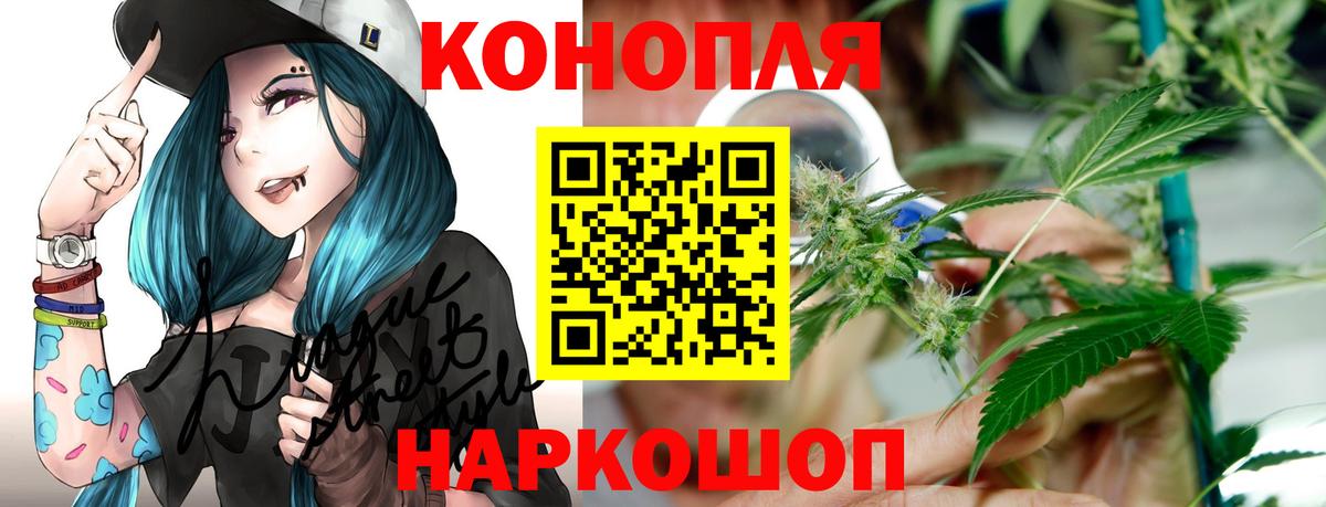 Каннабис план  Конопля планчик  Вход с VPN  Марихуана Ganja  Бошки марихуана сатива  Строитель 